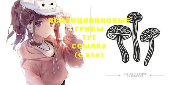 стафф Абдулино