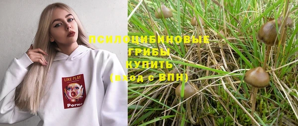 стафф Абдулино